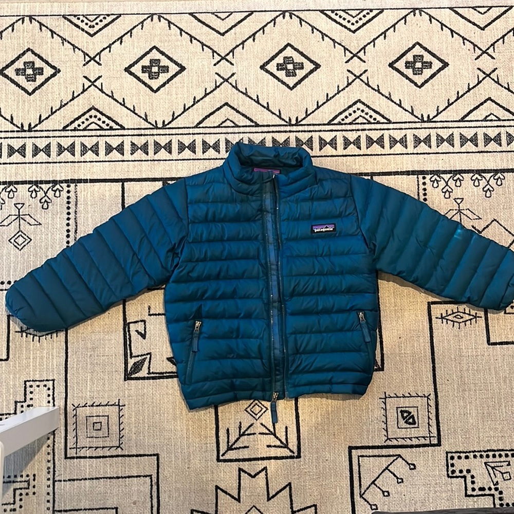 Patagonia Down Sweater